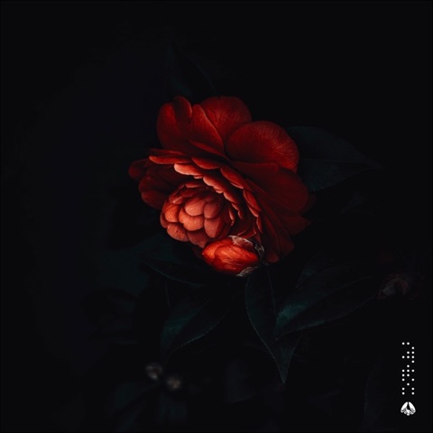 Look Forward by yuhei miura, Kazuki Isogai & Refeeld (cover art)