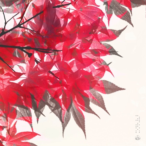Seasons by Kazuki Isogai & yuhei miura (cover art)